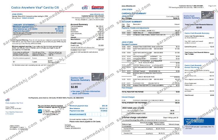 USA Costco Anywhere Visa Card by Citi bank statement 4 pages